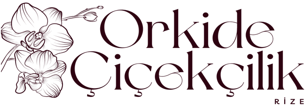 Rize ORKİDE Çiçekçilik | 0464 213 3313 - 0533 666 2515